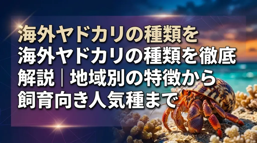 海外ヤドカリの種類を徹底解説｜地域別の特徴から飼育向き人気種まで