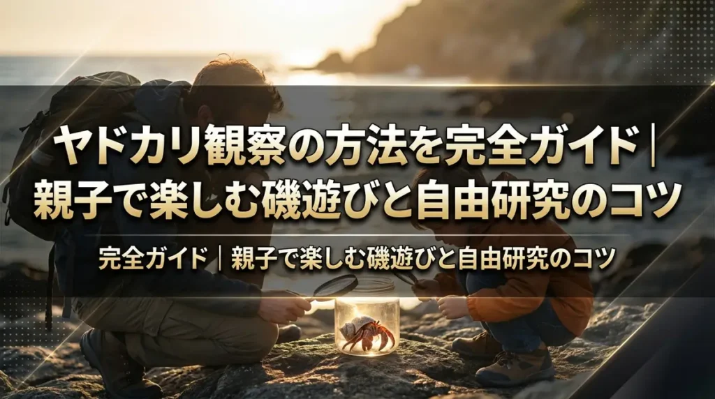 ヤドカリ観察の方法を完全ガイド｜親子で楽しむ磯遊びと自由研究のコツ