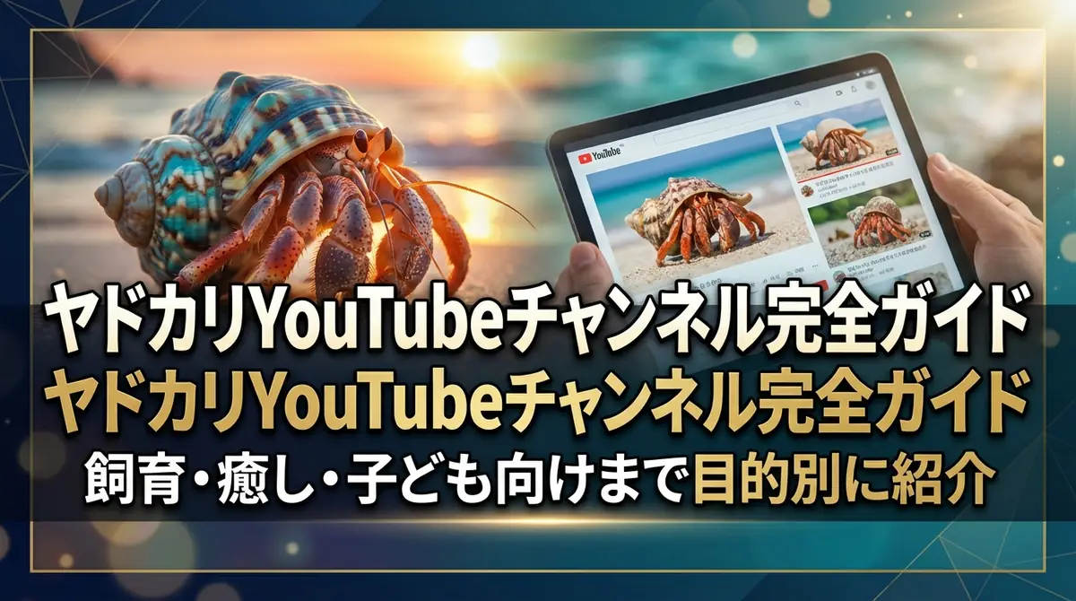 ヤドカリYouTubeチャンネル完全ガイド｜飼育・癒し・子ども向けまで目的別に紹介