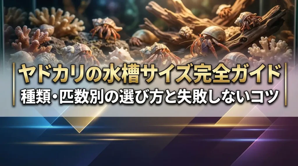 ヤドカリの水槽サイズ完全ガイド｜種類・匹数別の選び方と失敗しないコツ