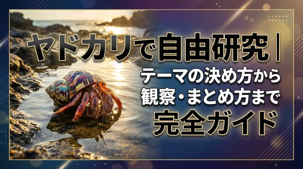 ヤドカリで自由研究｜テーマの決め方から観察・まとめ方まで完全ガイド