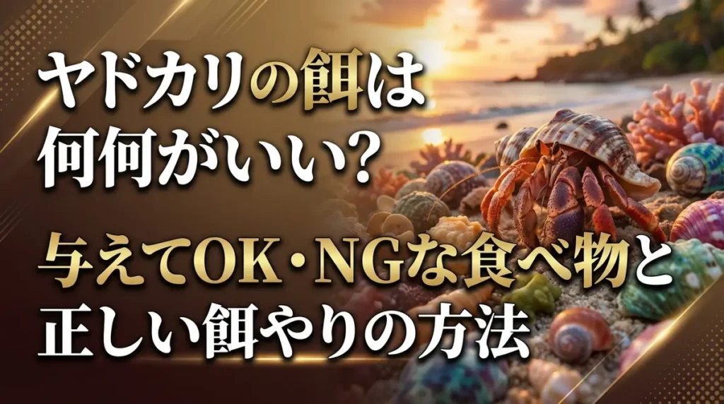 ヤドカリの餌は何がいい？与えてOK・NGな食べ物と正しい餌やりの方法