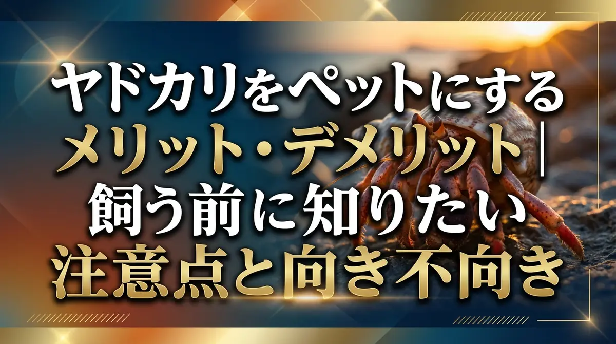 ヤドカリをペットにするメリット・デメリット|飼う前に知りたい注意点と向き不向き