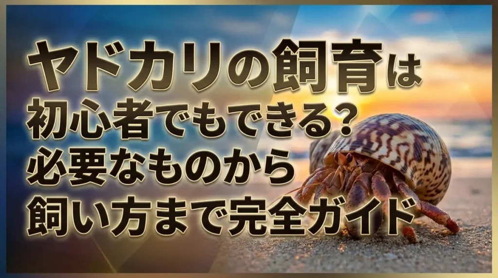 ヤドカリの飼育は初心者でもできる？必要なものから飼い方まで完全ガイド