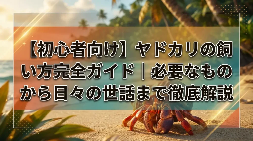 【初心者向け】ヤドカリの飼い方完全ガイド｜必要なものから日々の世話まで徹底解説