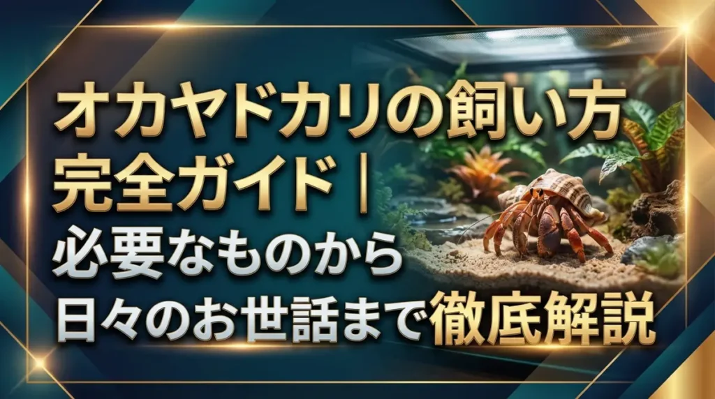 オカヤドカリの飼い方完全ガイド｜必要なものから日々のお世話まで徹底解説