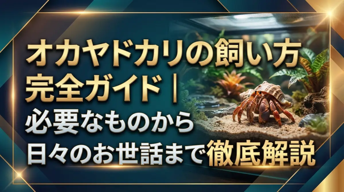 オカヤドカリの飼い方完全ガイド｜必要なものから日々のお世話まで徹底解説