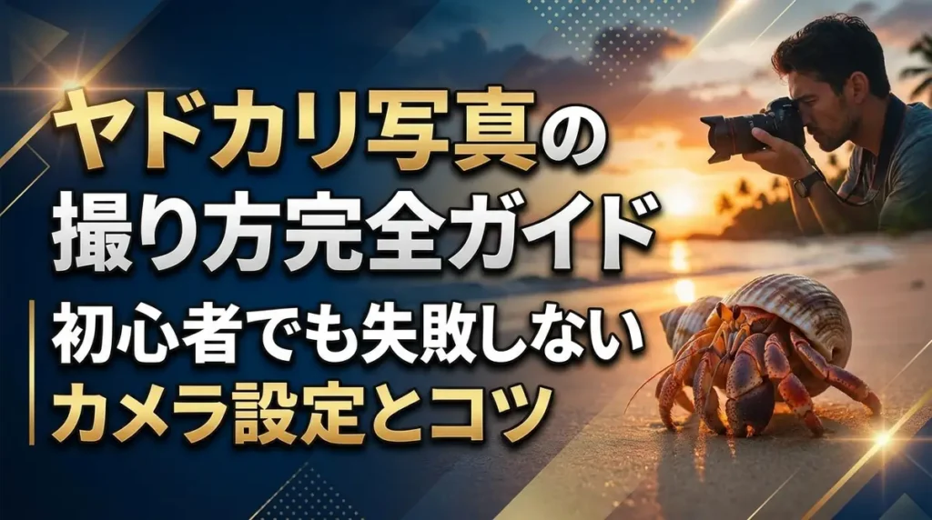 ヤドカリ写真の撮り方完全ガイド｜初心者でも失敗しないカメラ設定とコツ