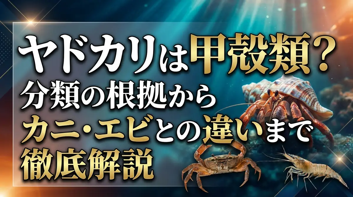 ヤドカリは甲殻類？分類の根拠からカニ・エビとの違いまで徹底解説