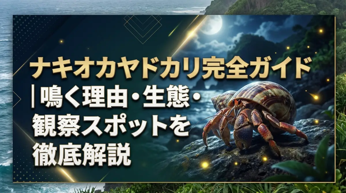 ナキオカヤドカリ完全ガイド｜鳴く理由・生態・観察スポットを徹底解説