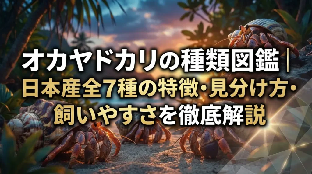オカヤドカリの種類図鑑｜日本産全7種の特徴・見分け方・飼いやすさを徹底解説