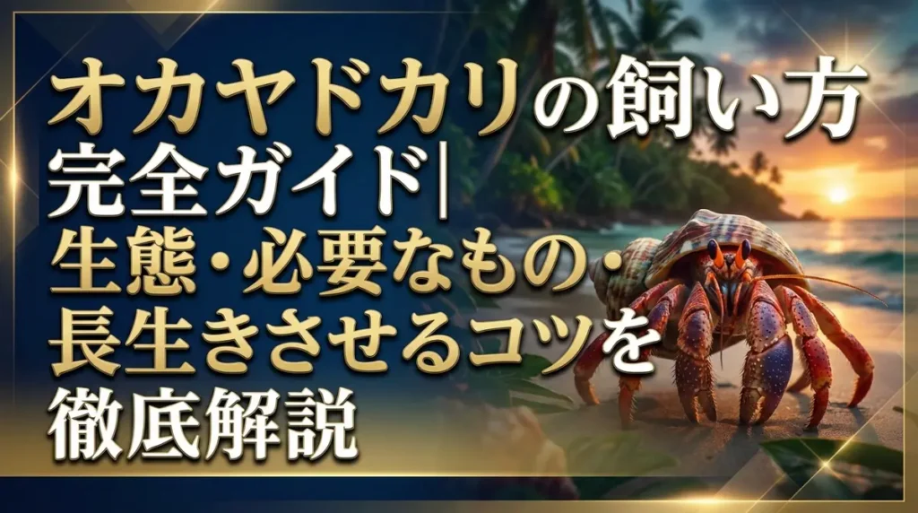 オカヤドカリの飼い方完全ガイド｜生態・必要なもの・長生きさせるコツを徹底解説