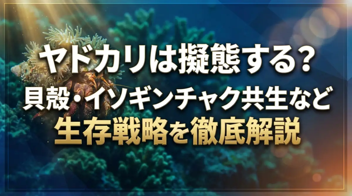 ヤドカリは擬態する?貝殻・イソギンチャク共生など生存戦略を徹底解説