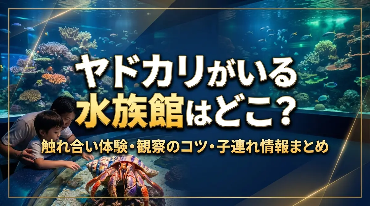 ヤドカリがいる水族館はどこ?触れ合い体験・観察のコツ・子連れ情報まとめ