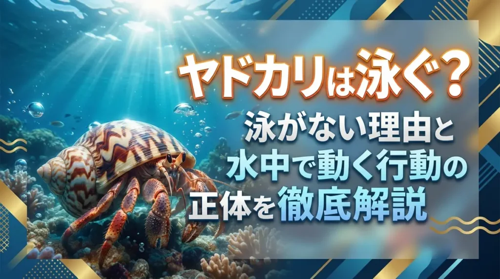 ヤドカリは泳ぐ？泳がない理由と水中で動く行動の正体を徹底解説