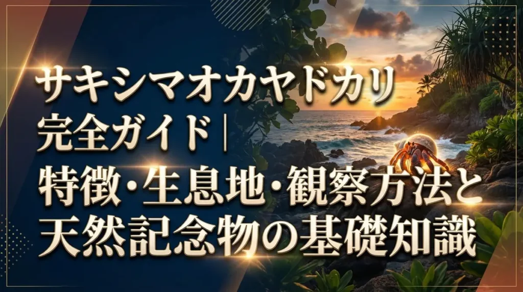 サキシマオカヤドカリ完全ガイド｜特徴・生息地・観察方法と天然記念物の基礎知識