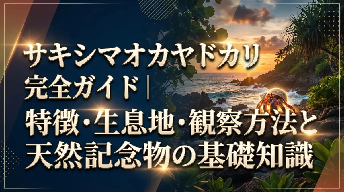 サキシマオカヤドカリ完全ガイド｜特徴・生息地・観察方法と天然記念物の基礎知識