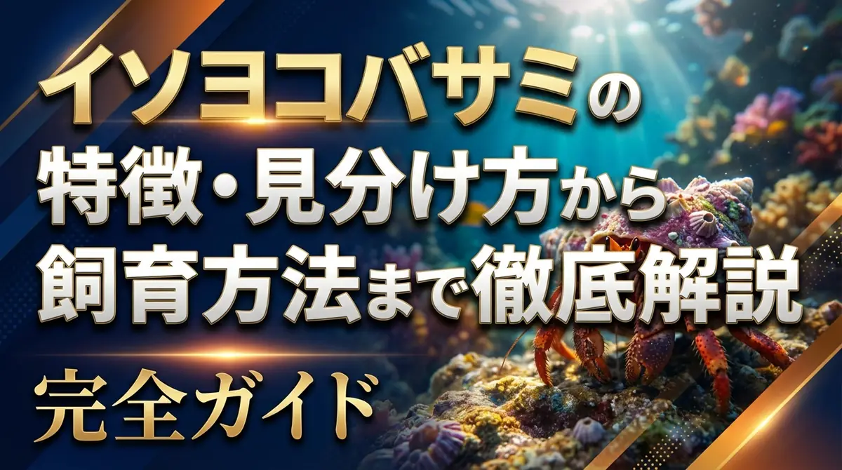 イソヨコバサミの特徴・見分け方から飼育方法まで徹底解説