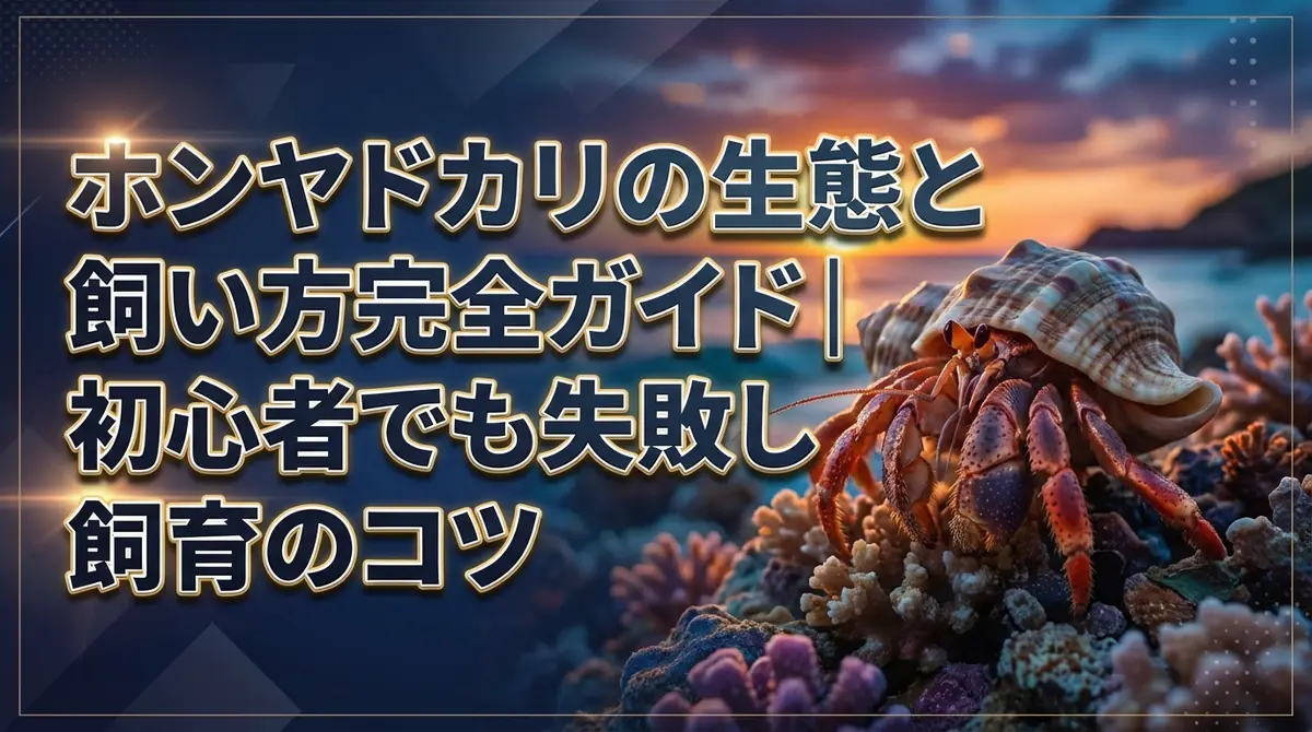 ホンヤドカリの生態と飼い方完全ガイド｜初心者でも失敗しない飼育のコツ