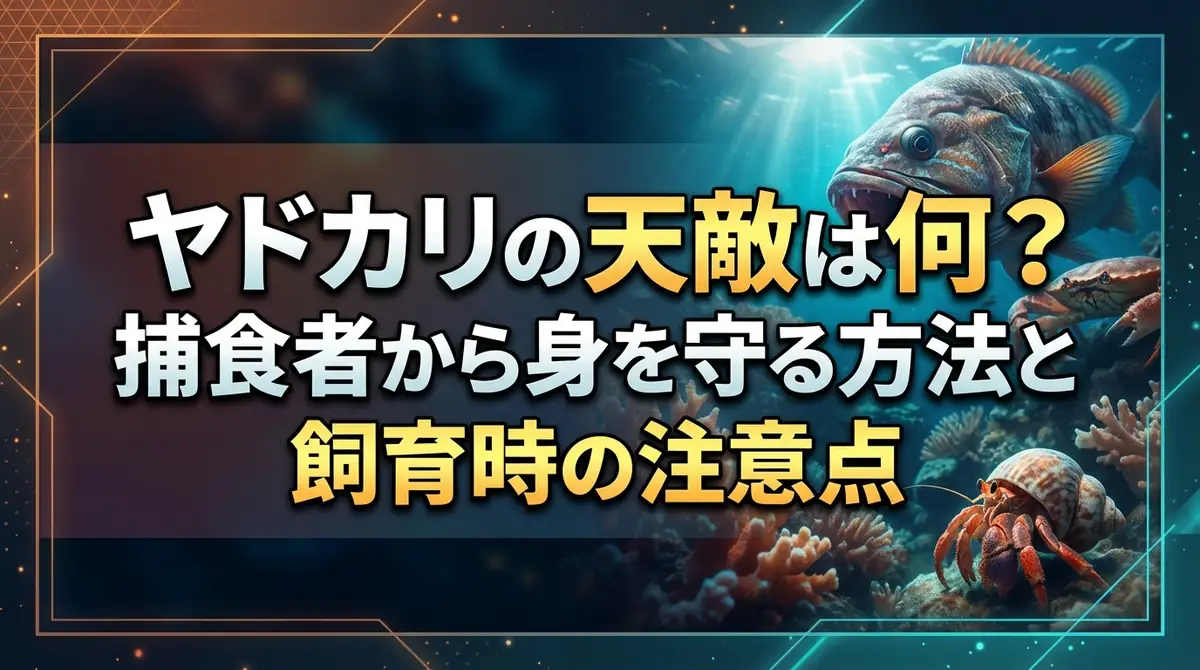 ヤドカリの天敵は何？捕食者から身を守る方法と飼育時の注意点