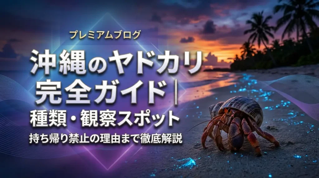 沖縄のヤドカリ完全ガイド｜種類・観察スポット・持ち帰り禁止の理由まで徹底解説
