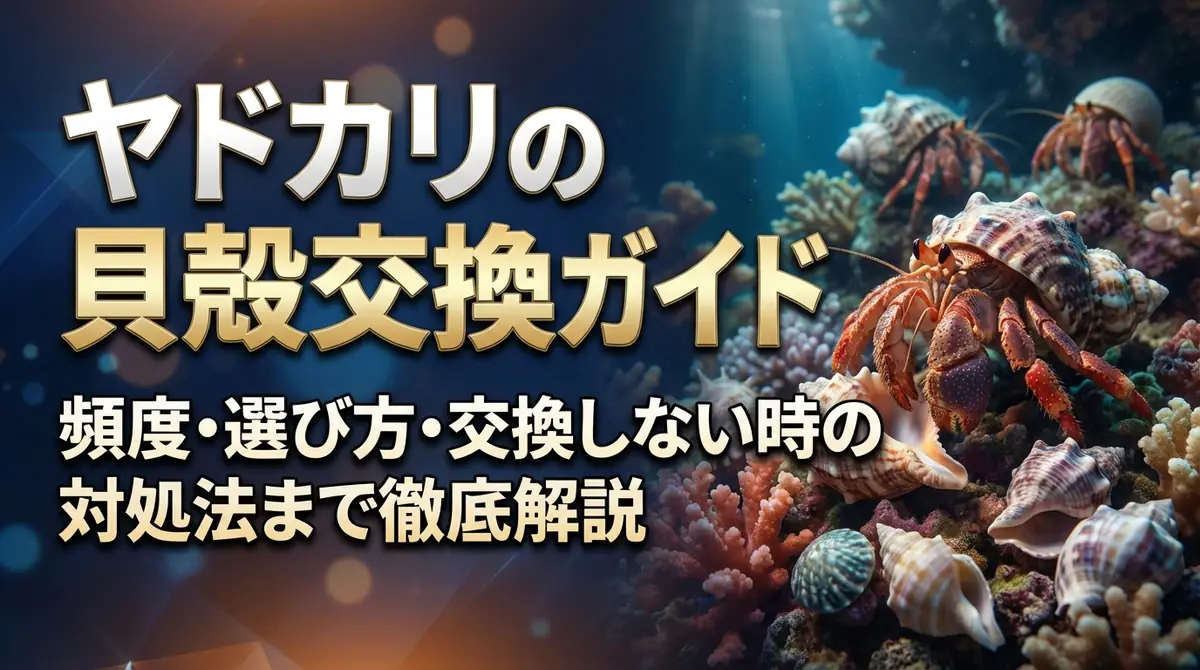 ヤドカリの貝殻交換ガイド｜頻度・選び方・交換しない時の対処法まで徹底解説