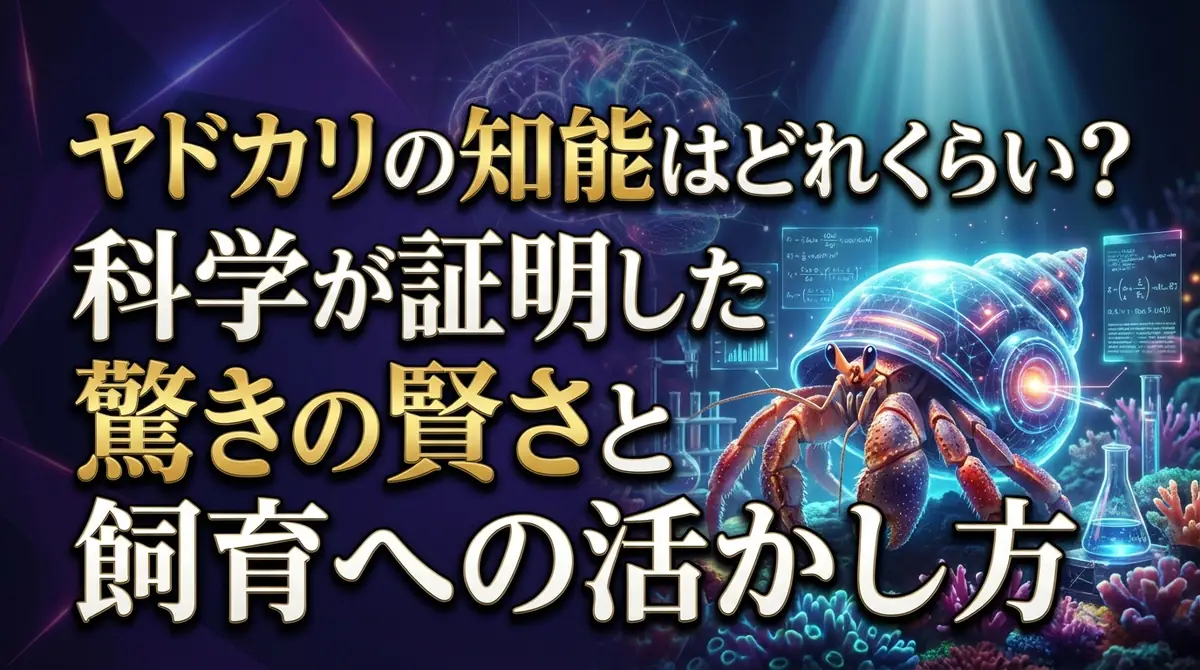 ヤドカリの知能はどれくらい？科学が証明した驚きの賢さと飼育への活かし方