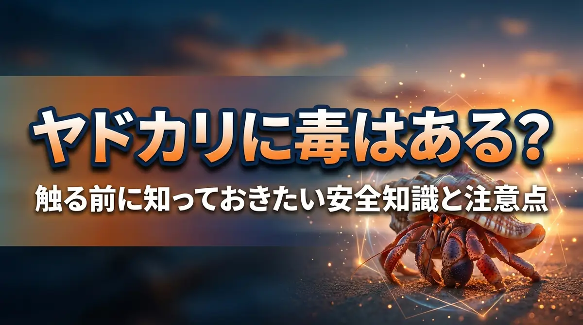 ヤドカリに毒はある?触る前に知っておきたい安全知識と注意点