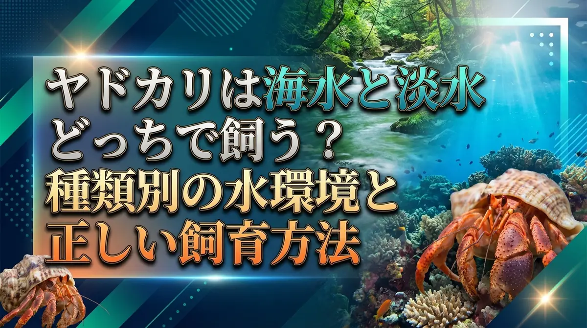 ヤドカリは海水と淡水どっちで飼う？種類別の水環境と正しい飼育方法