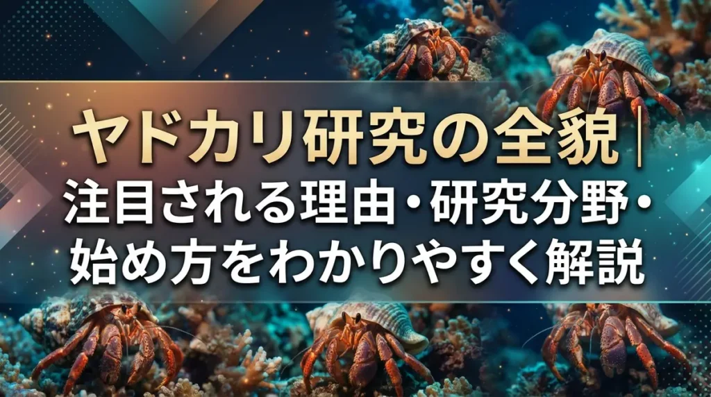ヤドカリ研究の全貌｜注目される理由・研究分野・始め方をわかりやすく解説