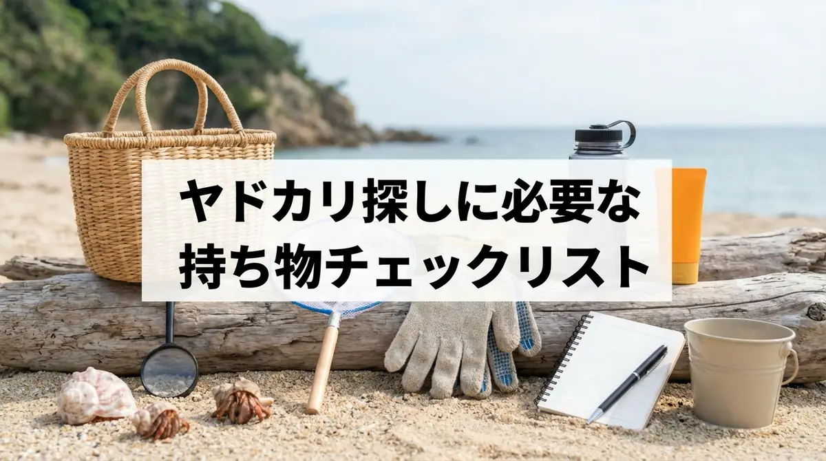 ヤドカリ探しに必要な持ち物チェックリスト