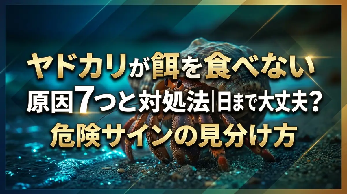 ヤドカリが餌を食べない原因7つと対処法｜何日まで大丈夫？危険サインの見分け方