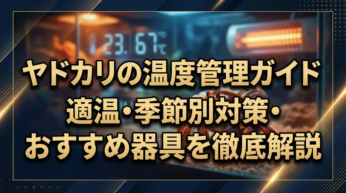 ヤドカリの温度管理ガイド|適温・季節別対策・おすすめ器具を徹底解説