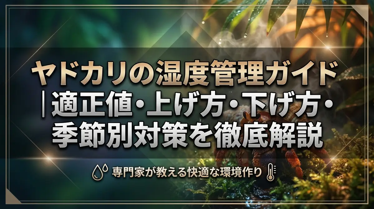 ヤドカリの湿度管理ガイド｜適正値・上げ方・下げ方・季節別対策を徹底解説