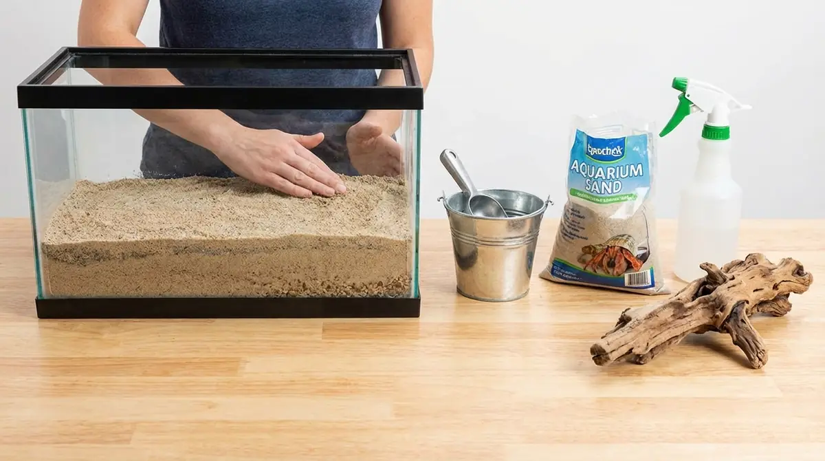 ヤドカリの砂の敷き方|準備から設置まで5ステップ