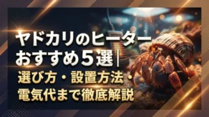 ヤドカリのヒーターおすすめ5選｜選び方・設置方法・電気代まで徹底解説