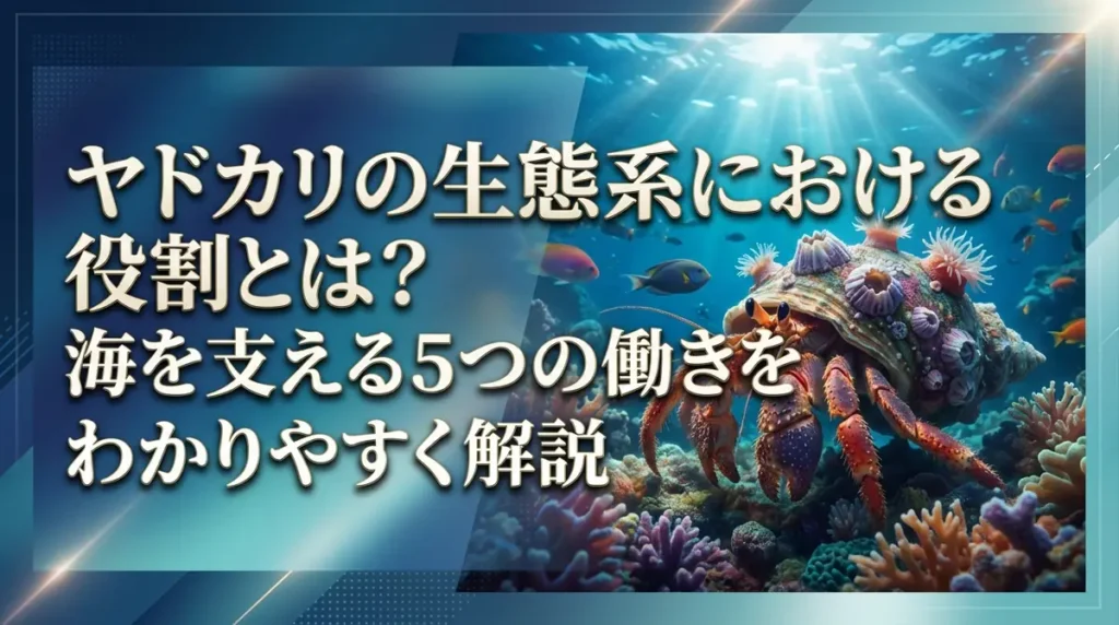 ヤドカリの生態系における役割とは？海を支える5つの働きをわかりやすく解説