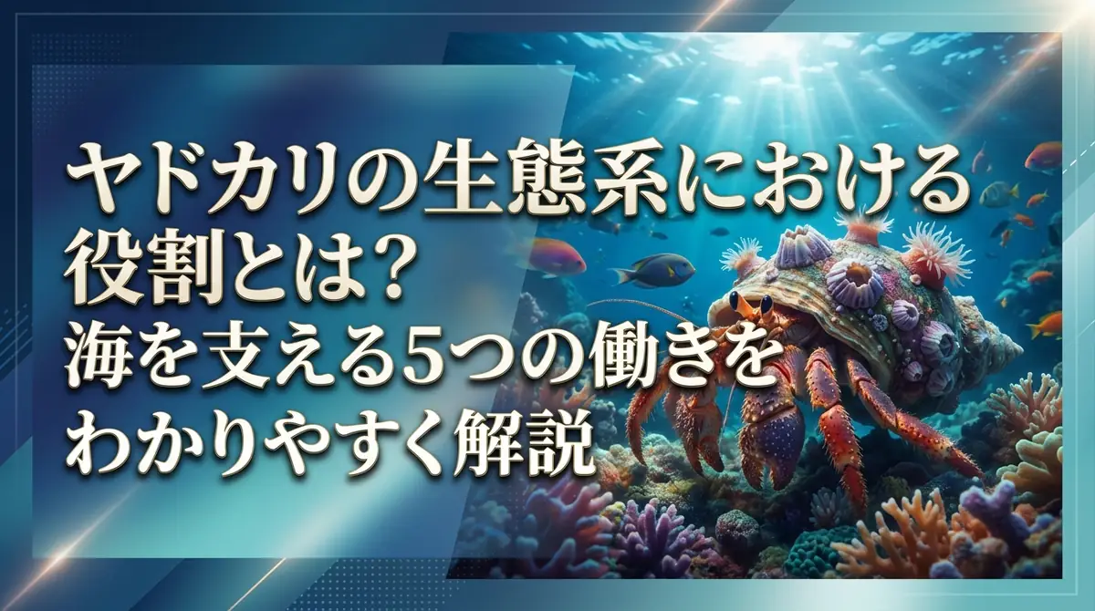 ヤドカリの生態系における役割とは？海を支える5つの働きをわかりやすく解説