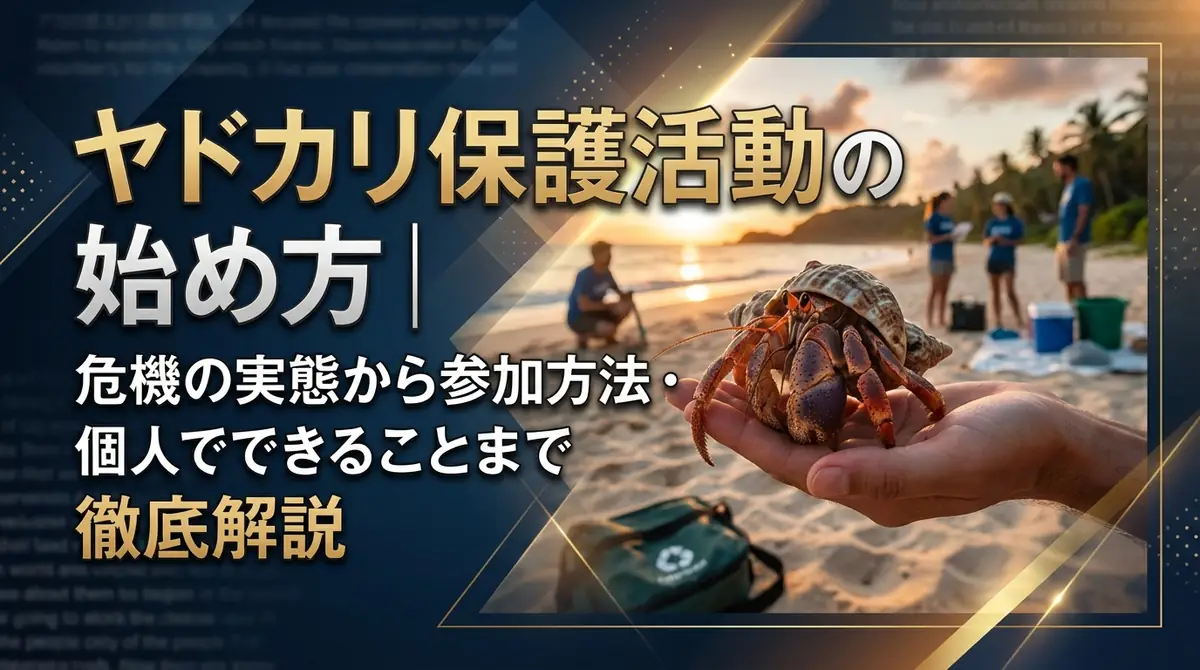 ヤドカリ保護活動の始め方｜危機の実態から参加方法・個人でできることまで徹底解説