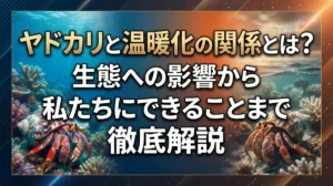 ヤドカリと温暖化の関係とは？生態への影響から私たちにできることまで徹底解説