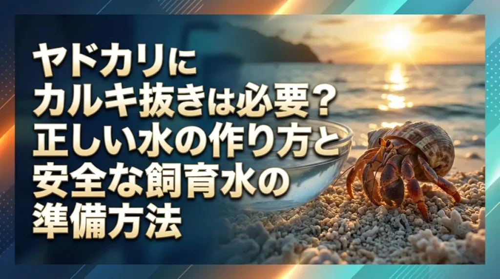 ヤドカリにカルキ抜きは必要？正しい水の作り方と安全な飼育水の準備方法