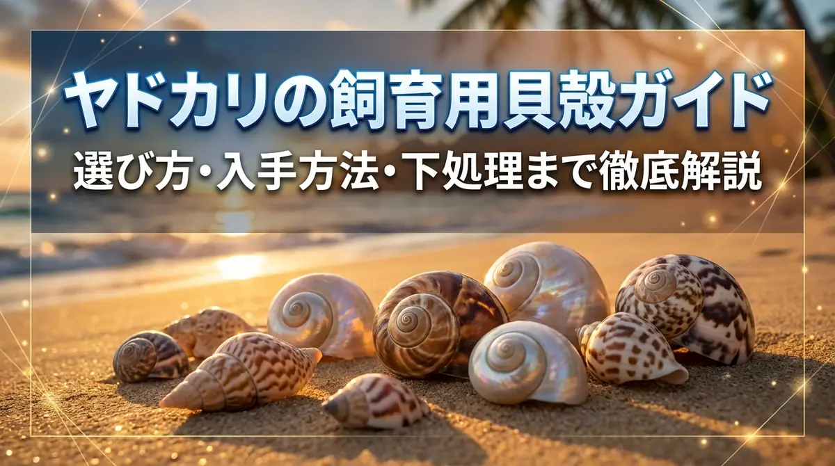 ヤドカリの飼育用貝殻ガイド｜選び方・入手方法・下処理まで徹底解説